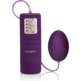 CALEX POCKET EXOTICS WATERPROOF OEUF VIOLET 4V