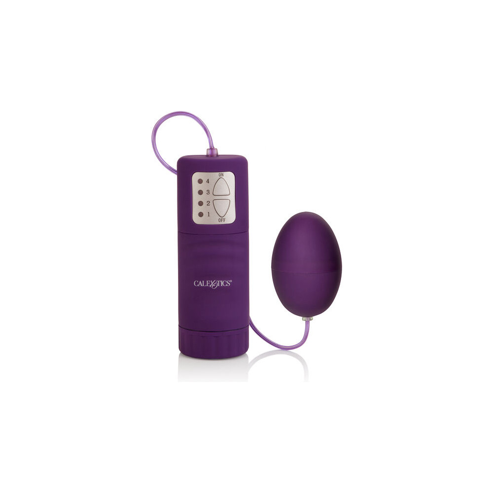 CALEX POCKET EXOTICS WATERPROOF OEUF VIOLET 4V