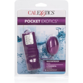 CALEX POCKET EXOTICS WATERPROOF OEUF VIOLET 4V