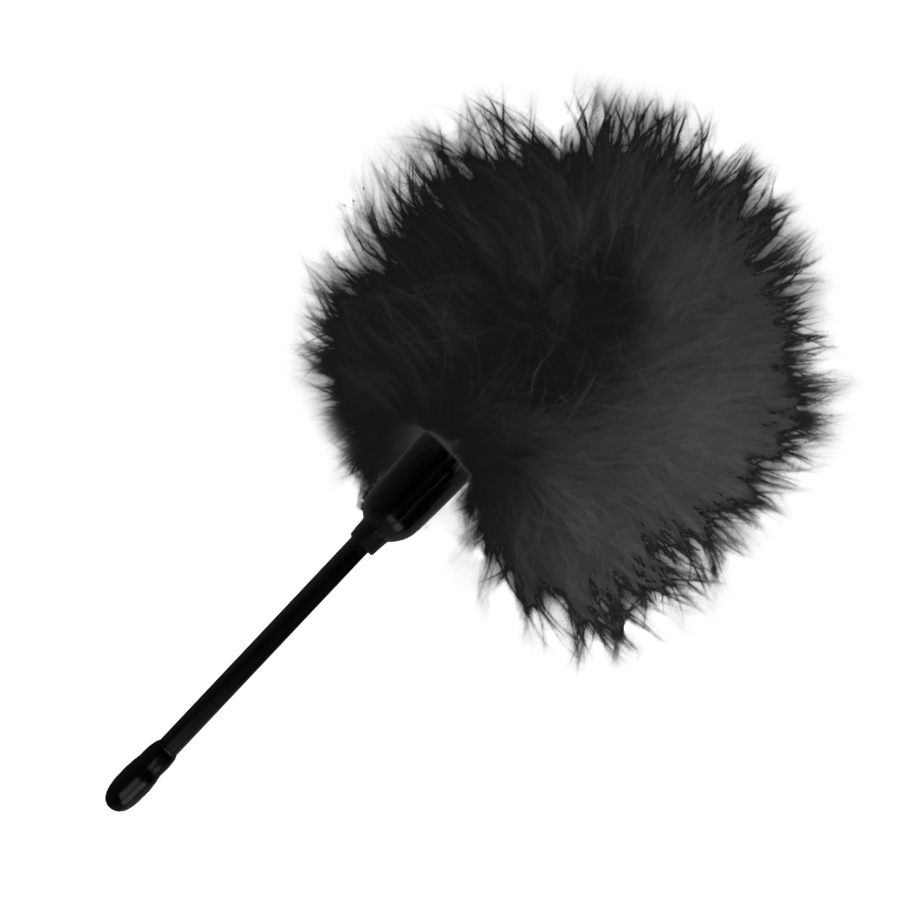 PLUME NOIRE NOIRE 20CM