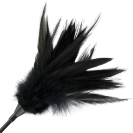 CULTURE DE PLUMES DARKNESS. NOIR