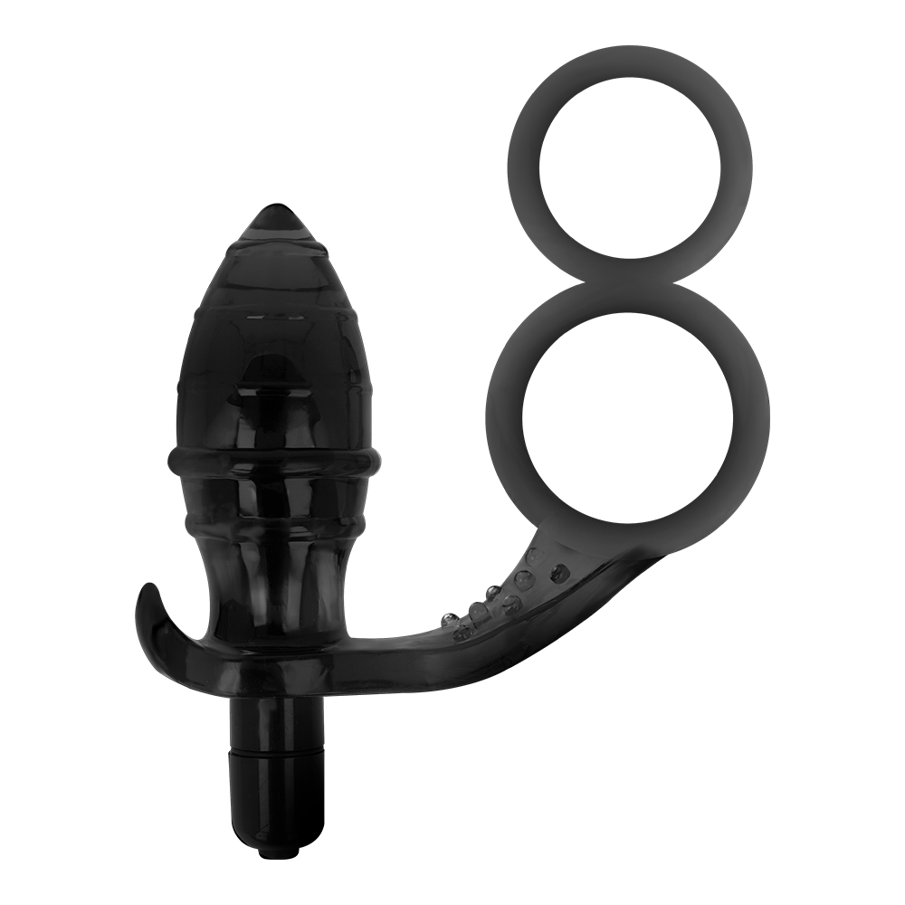 PLUG ANAL ADDICTED TOYS AVEC DOUBLE ANNEAU NOIR