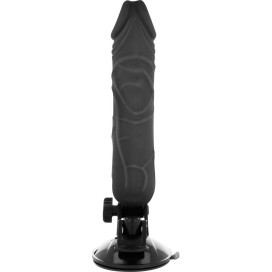 TÉLÉCOMMANDE BASECOCK REALISTIC VIBRATOR NOIR 20 CM