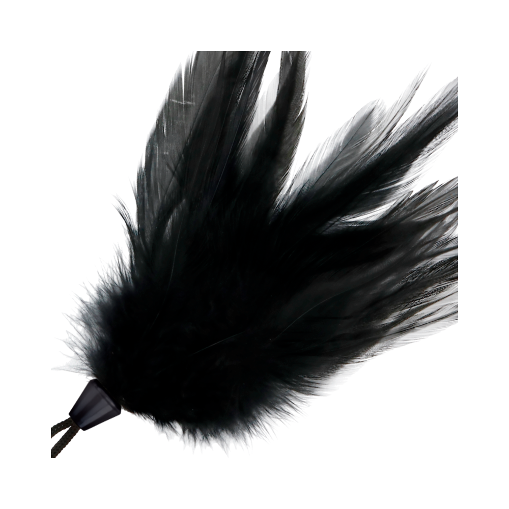 PLUME NOIRE DARKNESS 17CM