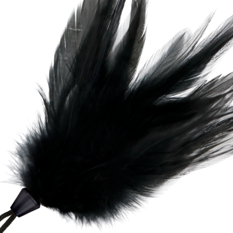 PLUME NOIRE DARKNESS 17CM