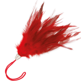 PLUME ROUGE FONCÉ 17CM