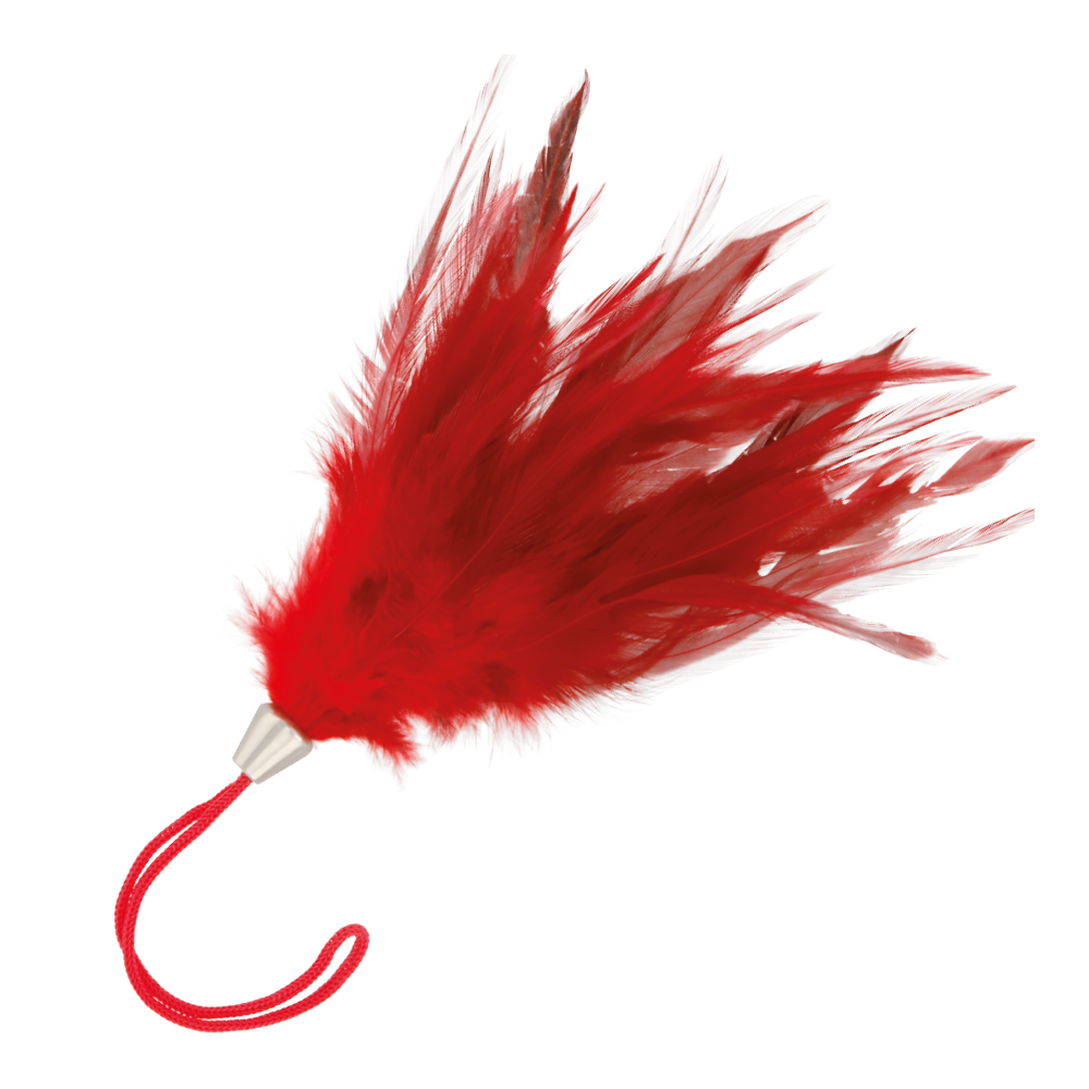 PLUME ROUGE FONCÉ 17CM