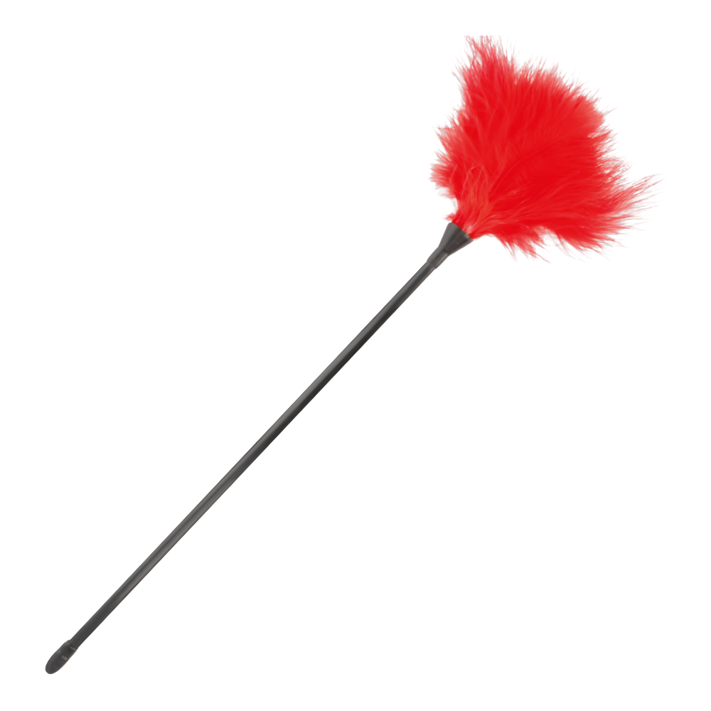 PLUME ROUGE FONCÉ 42CM