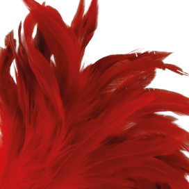 PLUME ROUGE DARKNESS 24CM