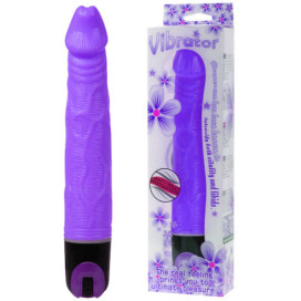 BAILE VIBRATEUR MULTI-VITESSES 21.5 CM VIOLET