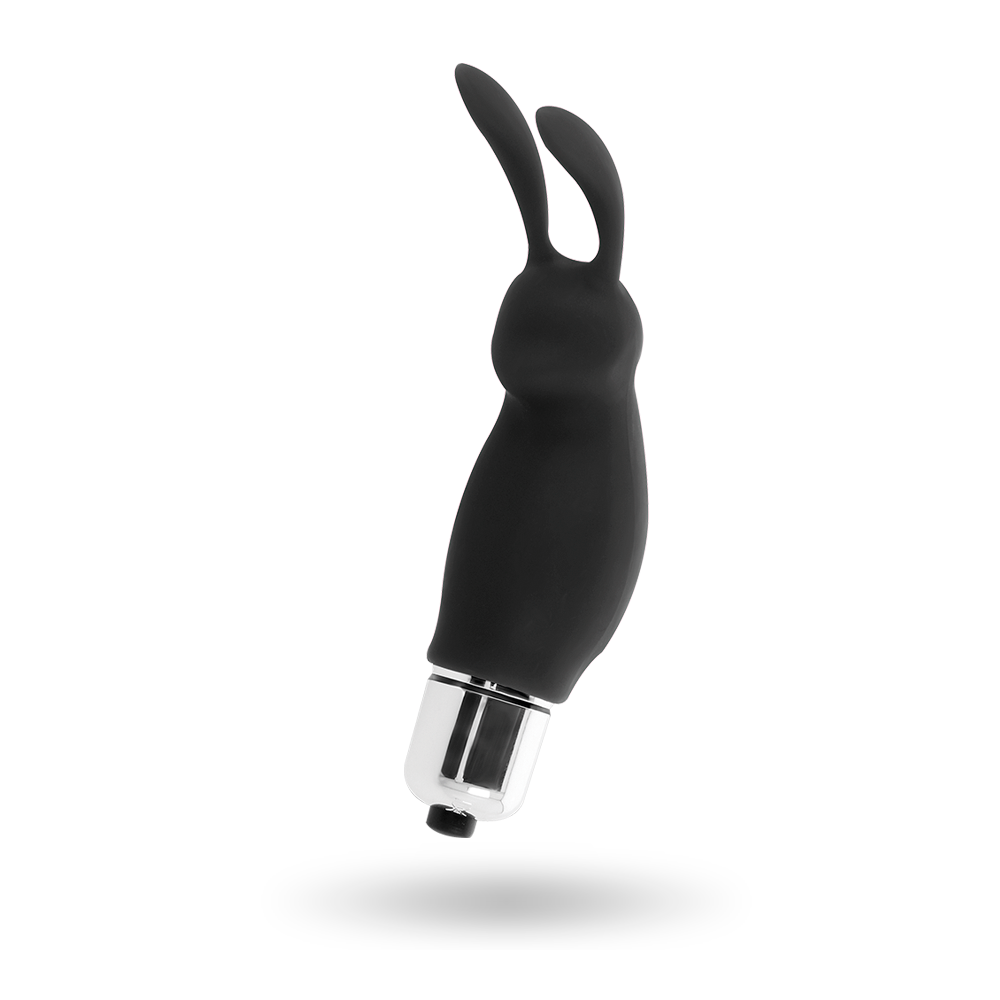 LAPIN ROGER NOIR INTENSE